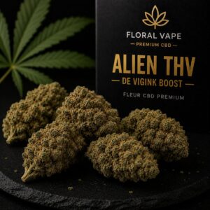 ALIEN THV  VIKING BOOST