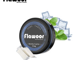 menthe-fraîche-flawoor-nicotine-pouches